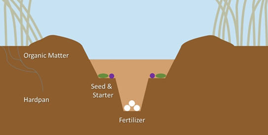 https://honeycombes-ag.com.au/seeding-equipment/1870-air-hoe-drill/#
